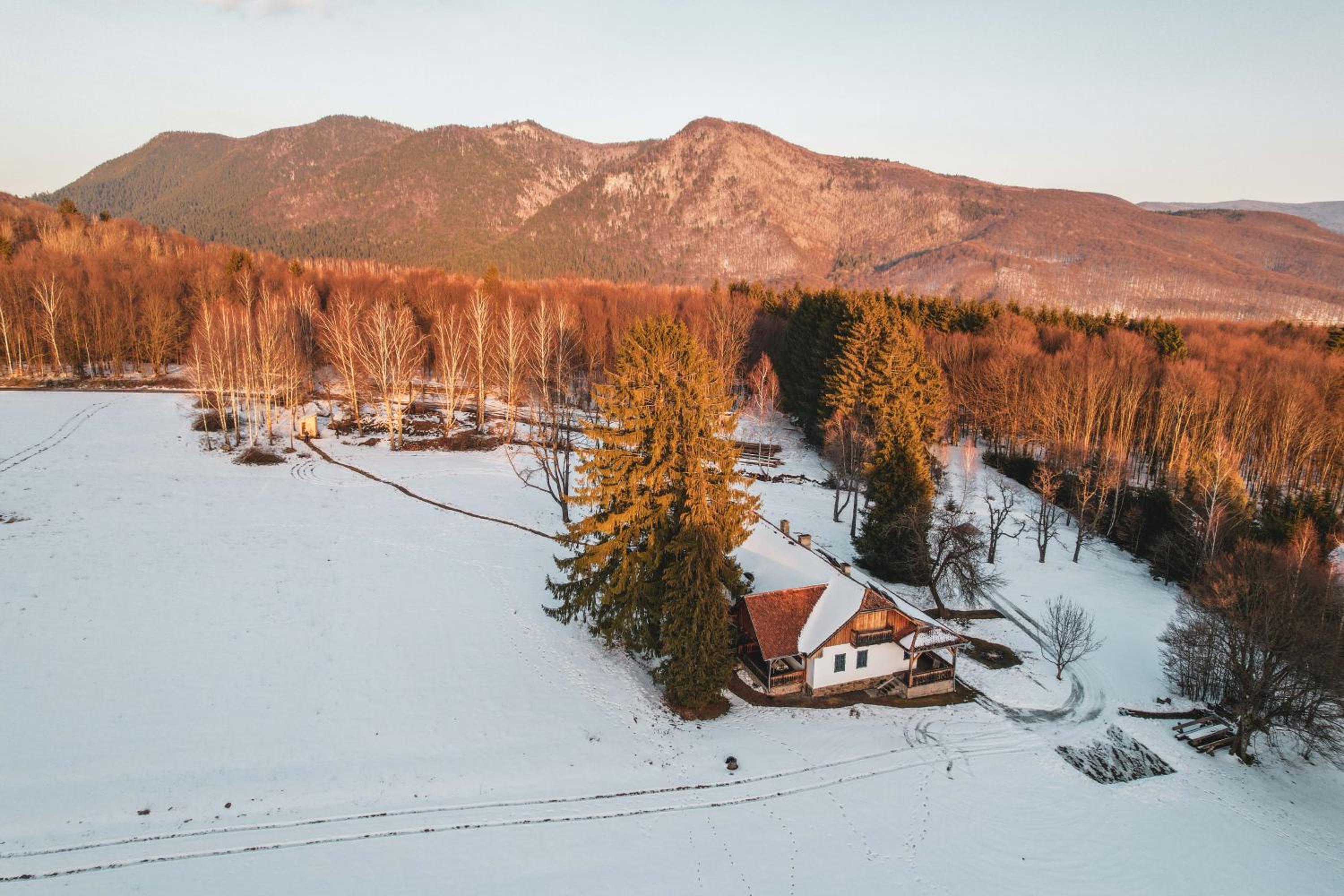 Dobrica Hunting Lodge