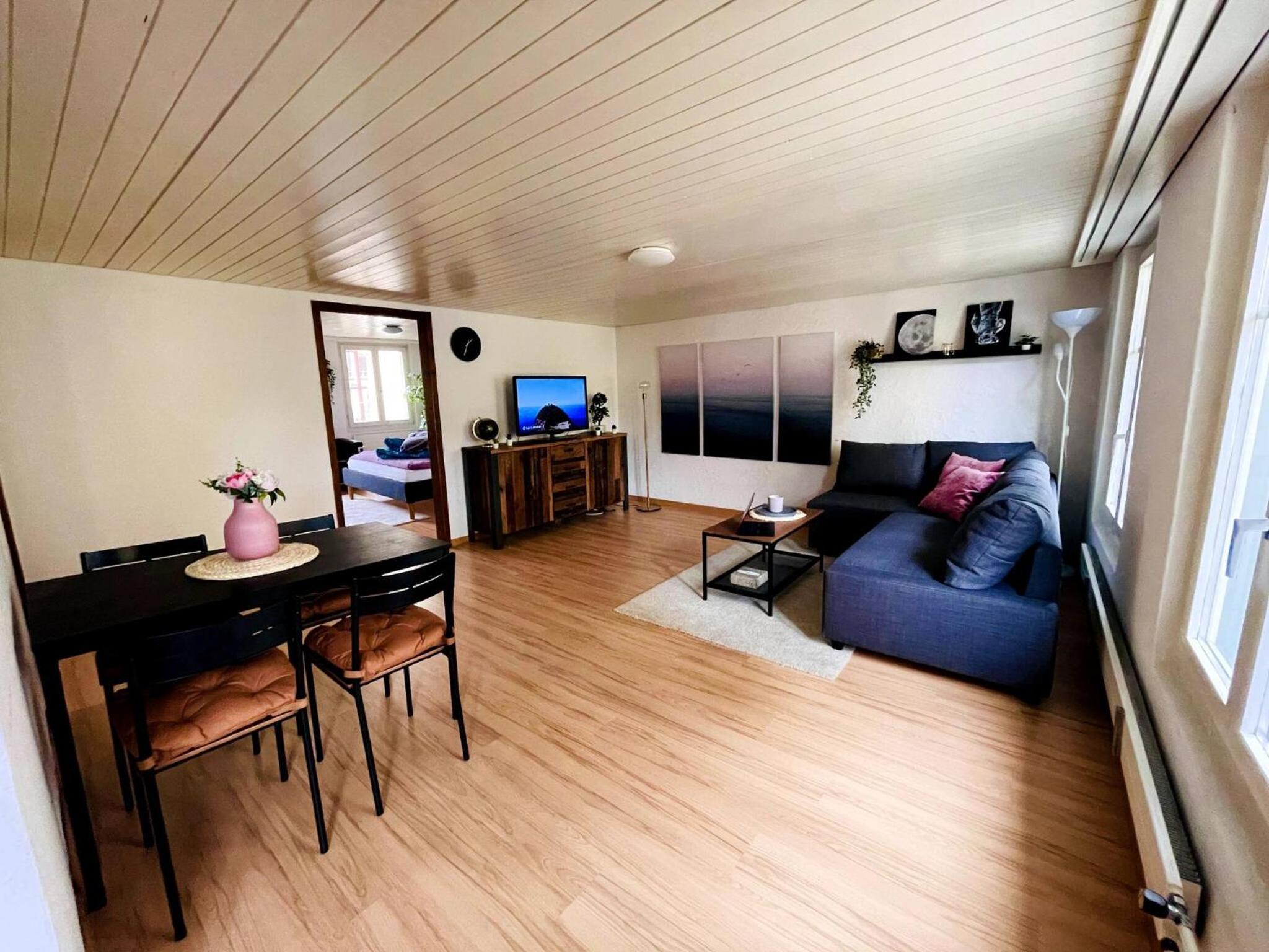 Newly furnished beautiful old building apartment in the center with Apple TV view 4