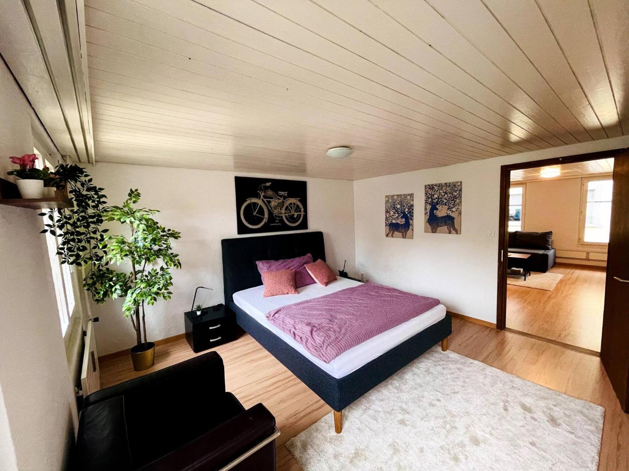 Newly furnished beautiful old building apartment in the center with Apple TV view 3