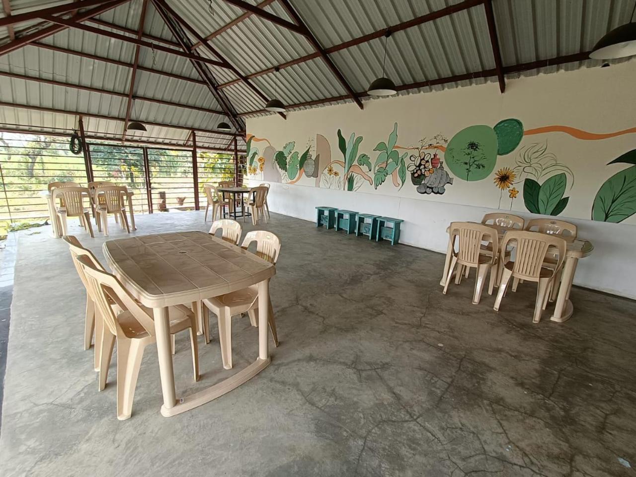Osaree Agro and Art Hub view 2