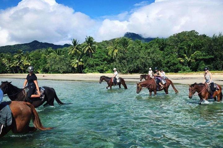 BUTTERFLY BEND - 3 Bedroom Daintree Beach House