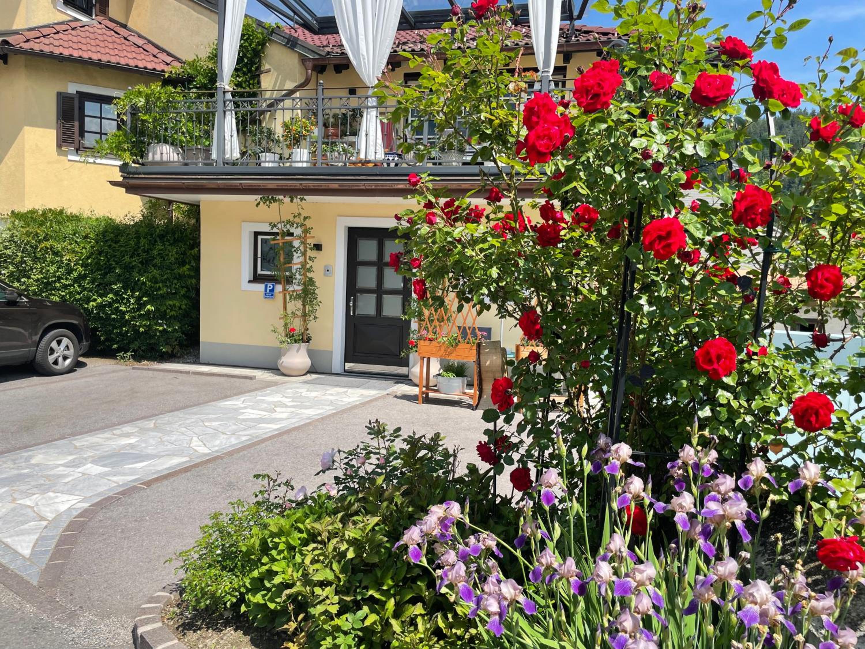 Entzückende Garconniere im Herzen Spittals view 4