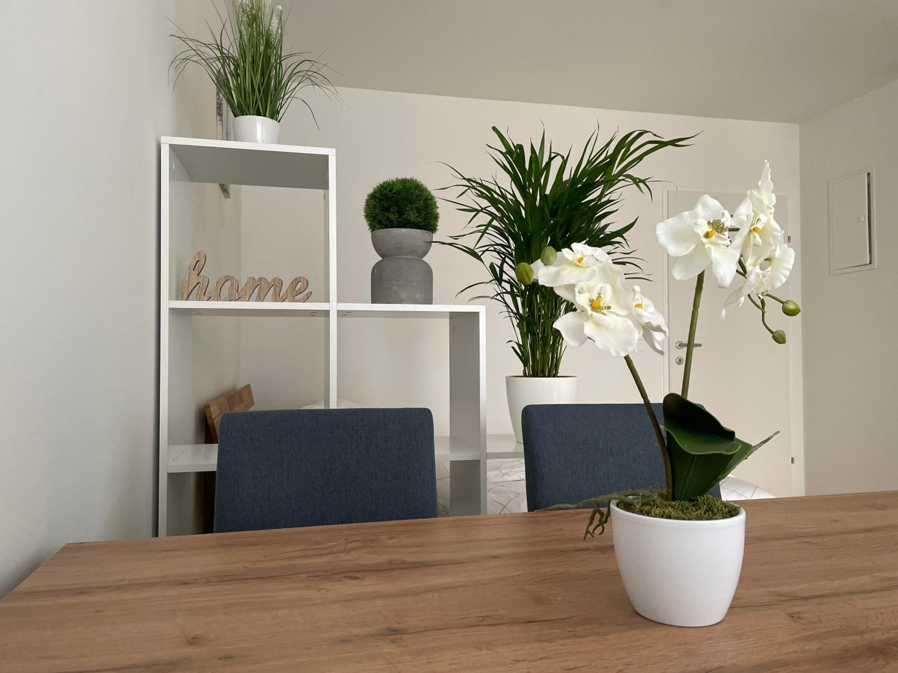 55 m2 Stylish Apartment with Balcony and Netflix