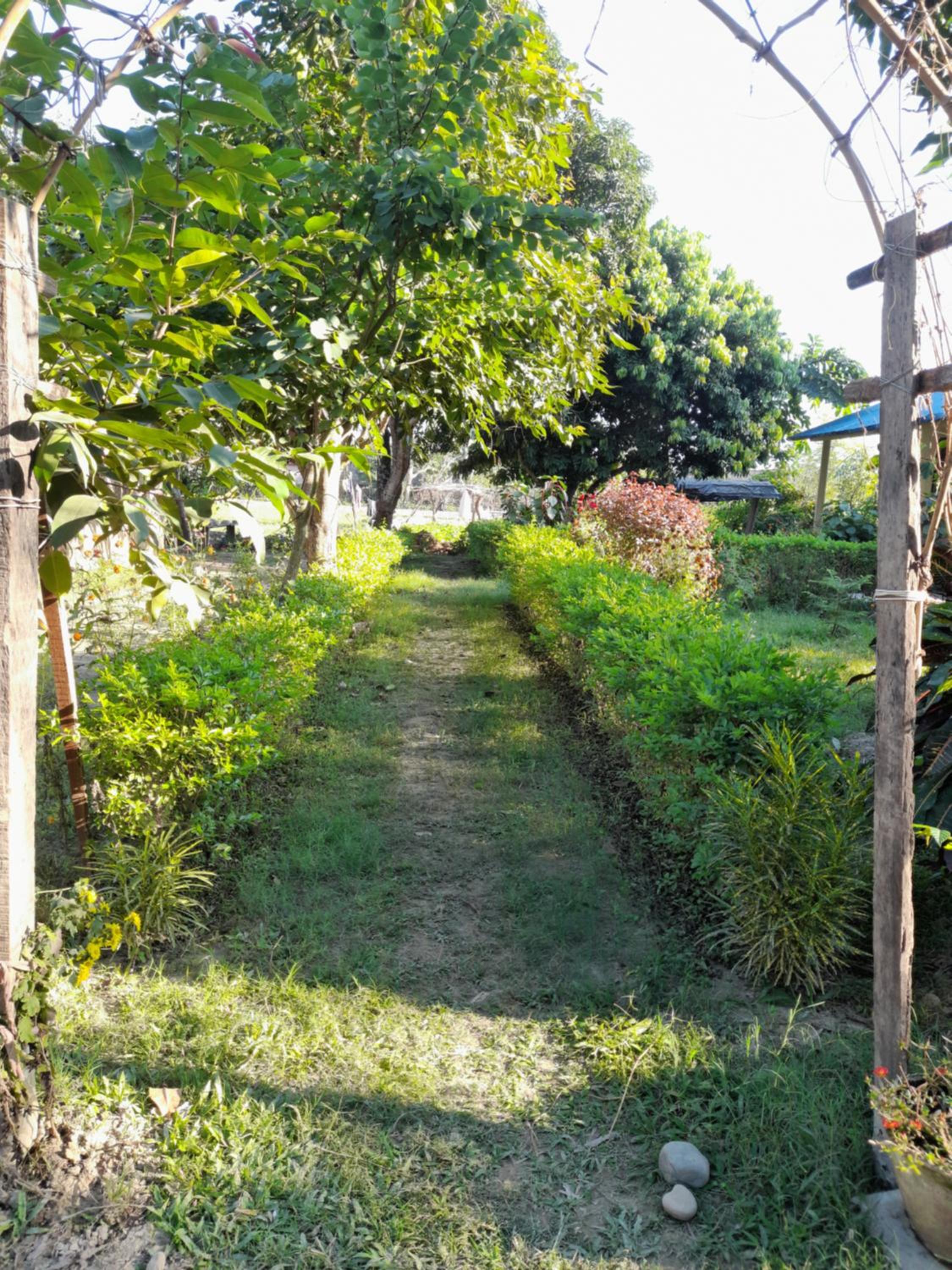 Photo 14