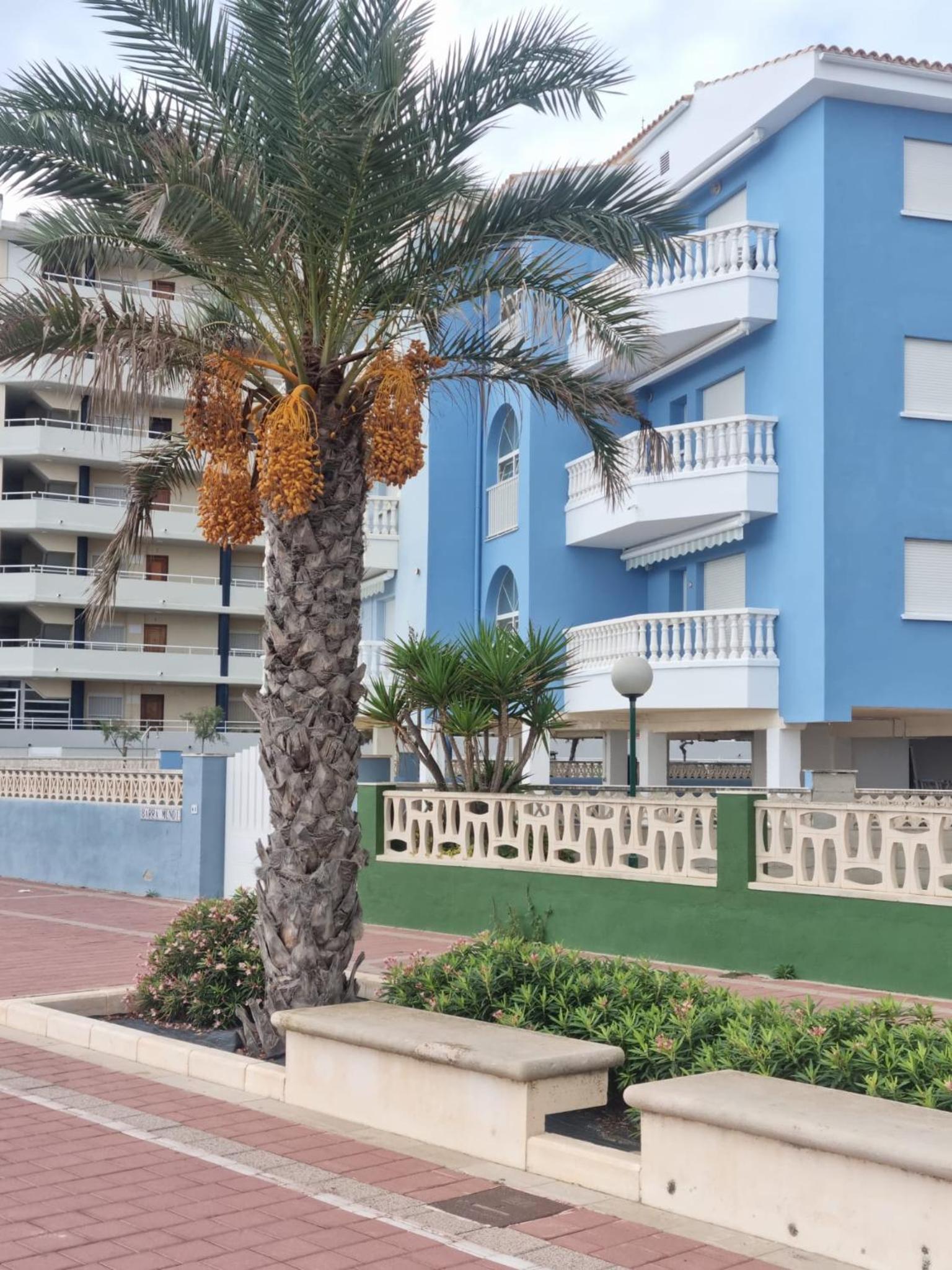 THE BEACH ACROSS THE STREET