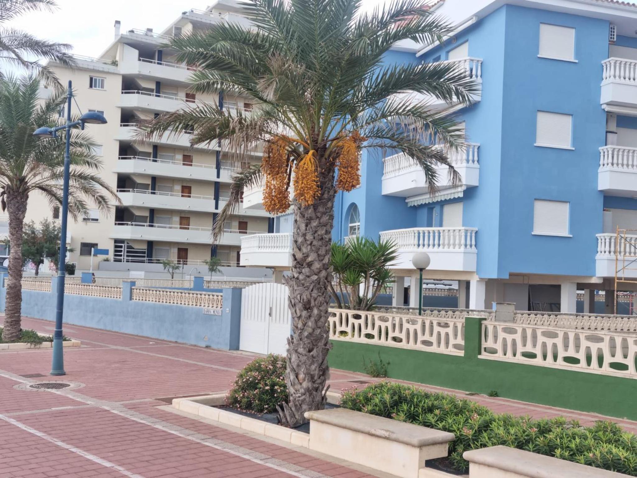 THE BEACH ACROSS THE STREET