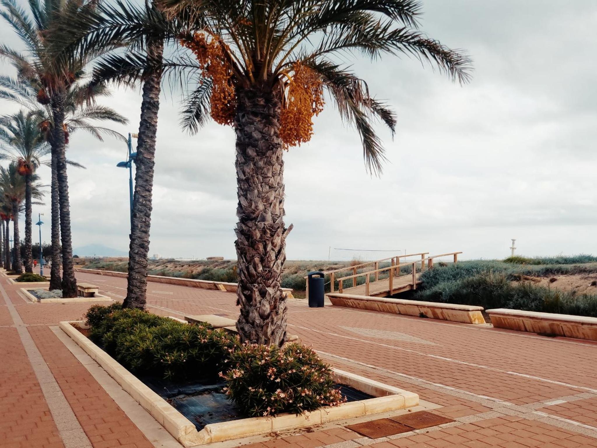 THE BEACH ACROSS THE STREET