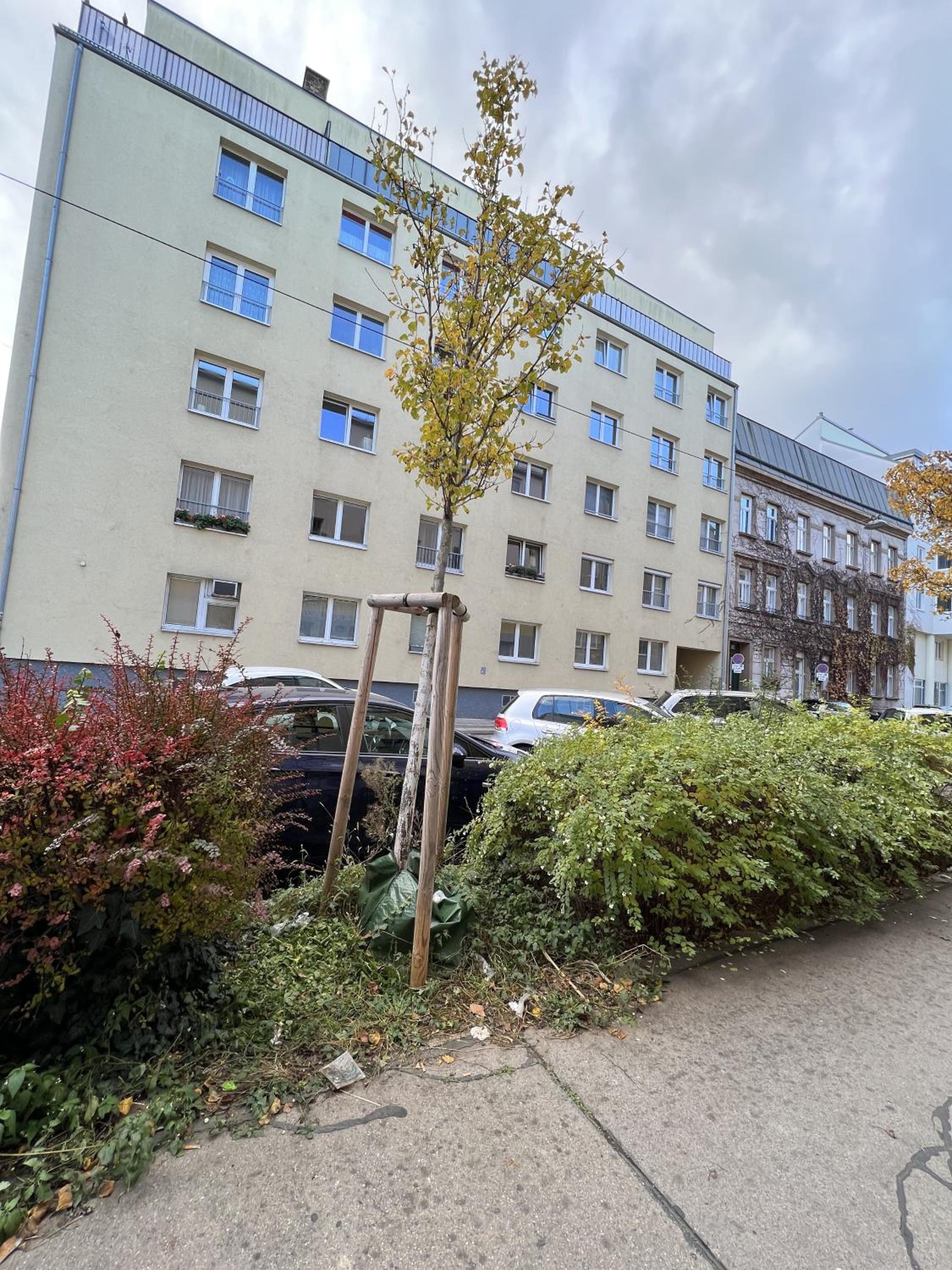 Loge Sollinger1190