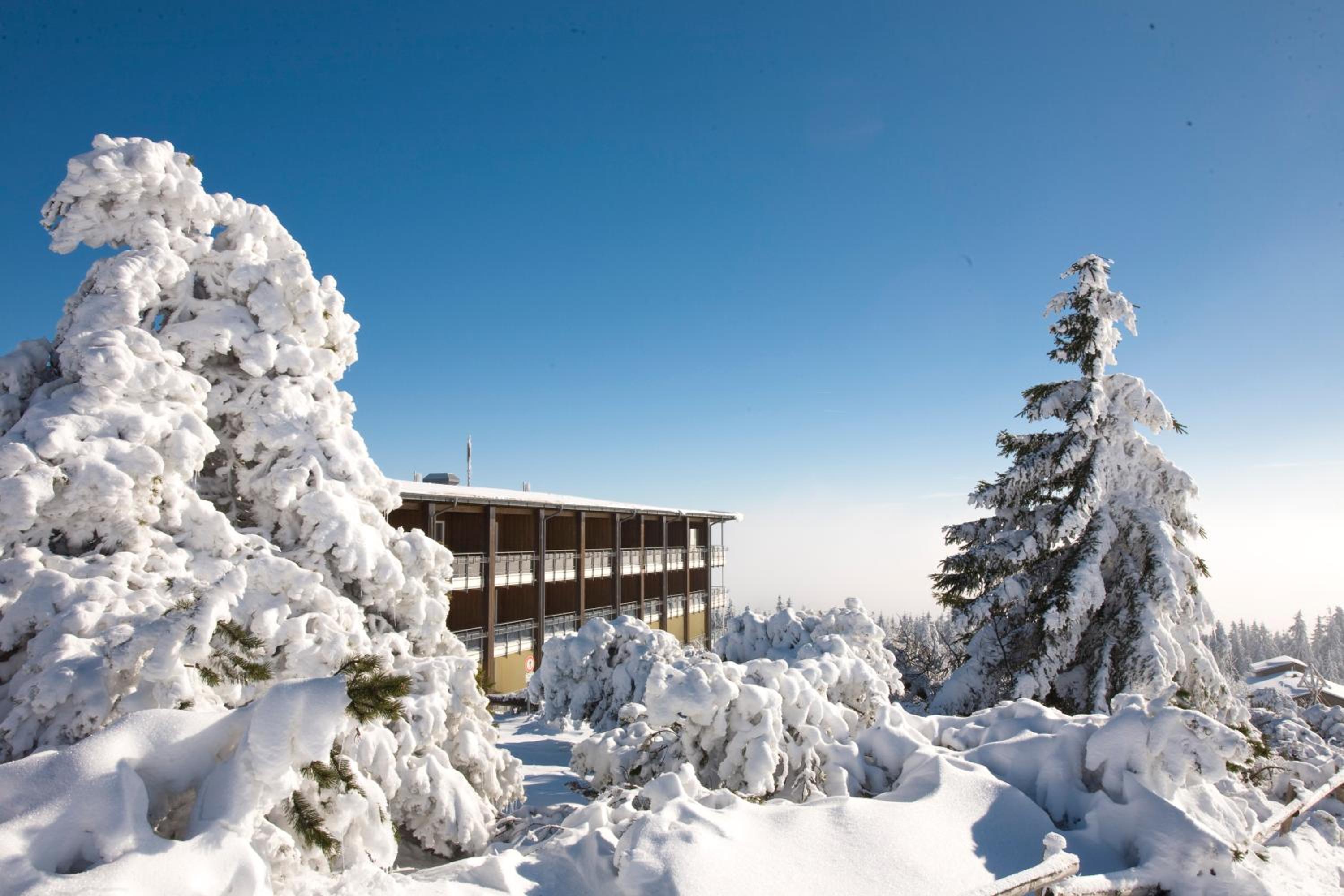 Wellness-& Nationalpark Hotel Schliffkopf, BWSC