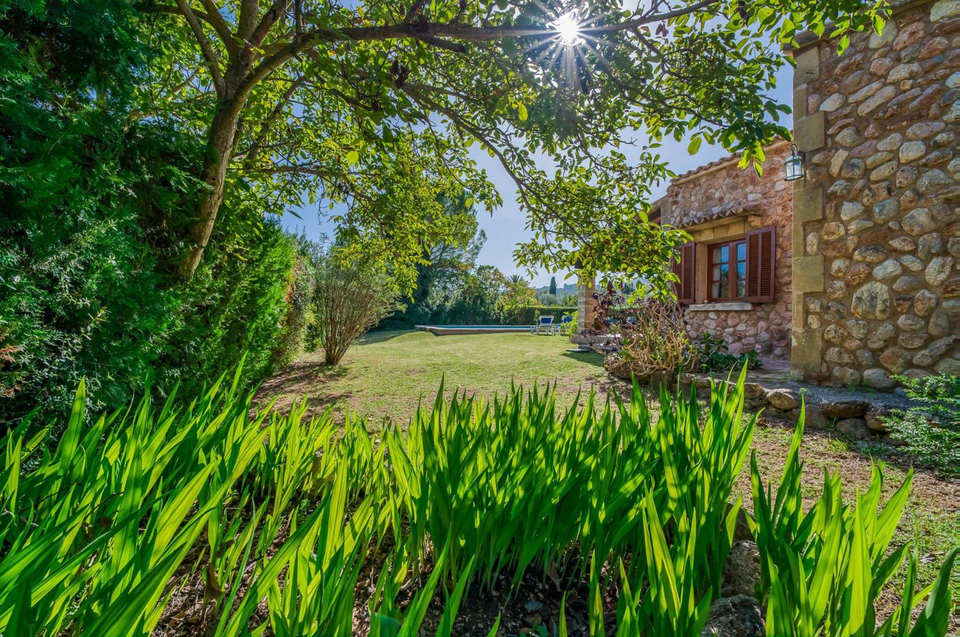 Ideal Property Mallorca - Navarro