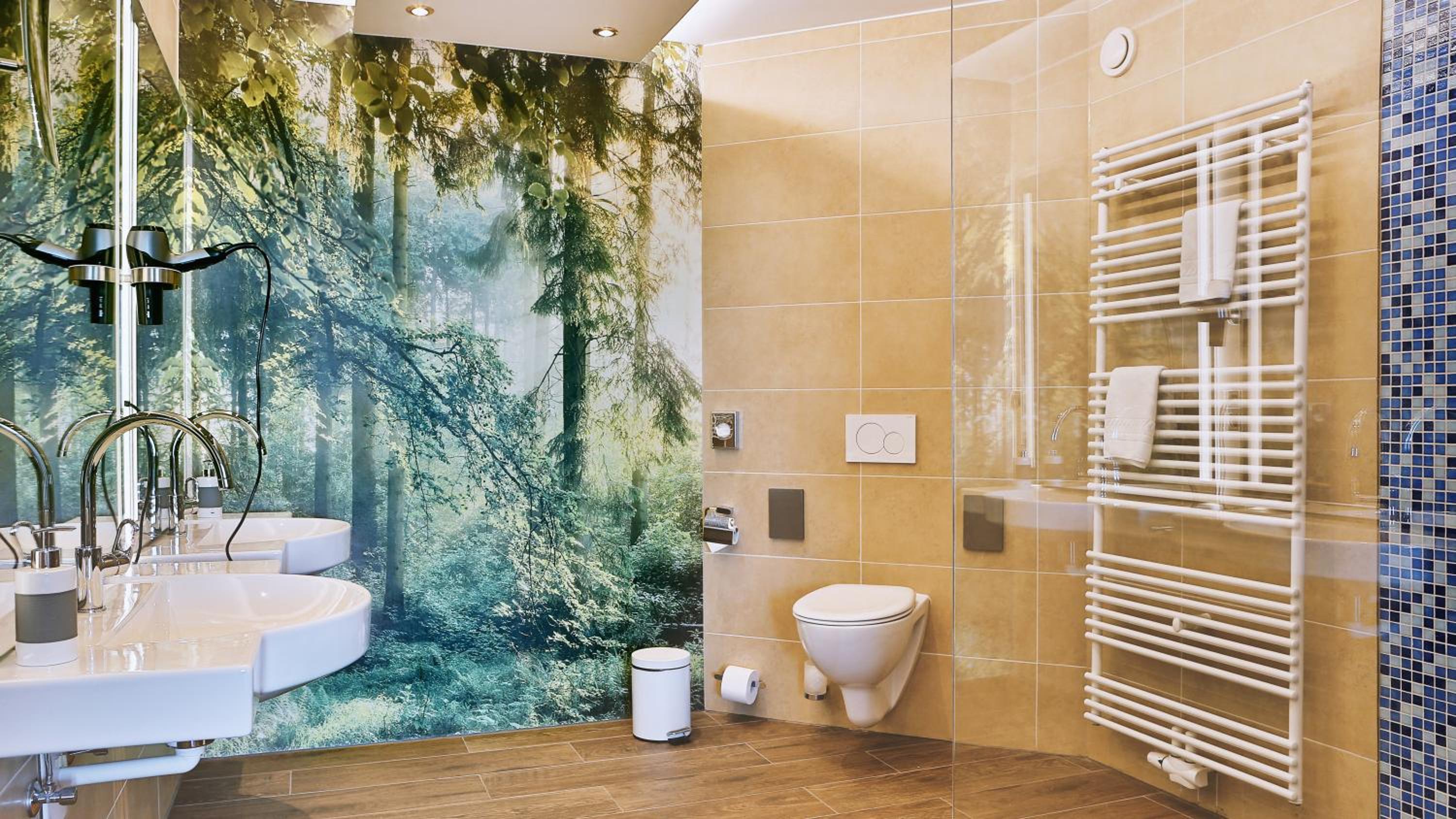 Wellness-& Nationalpark Hotel Schliffkopf, BWSC