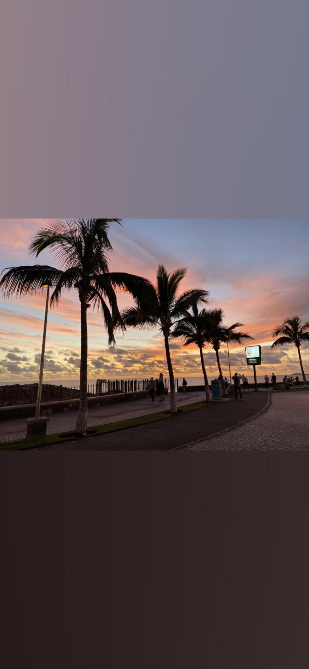 Apartamento Oasis Palmeras 4