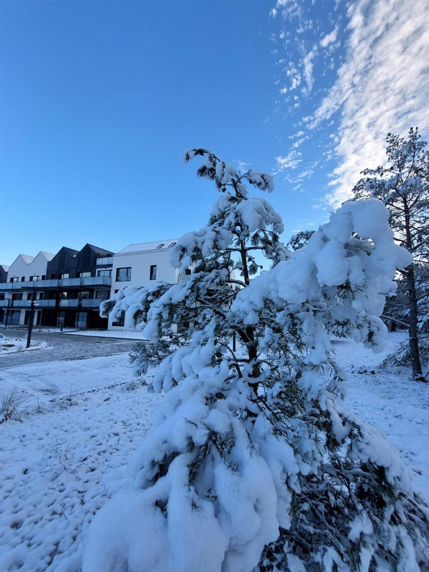 Apartament Orlando w Porto Łeba 350m od morza