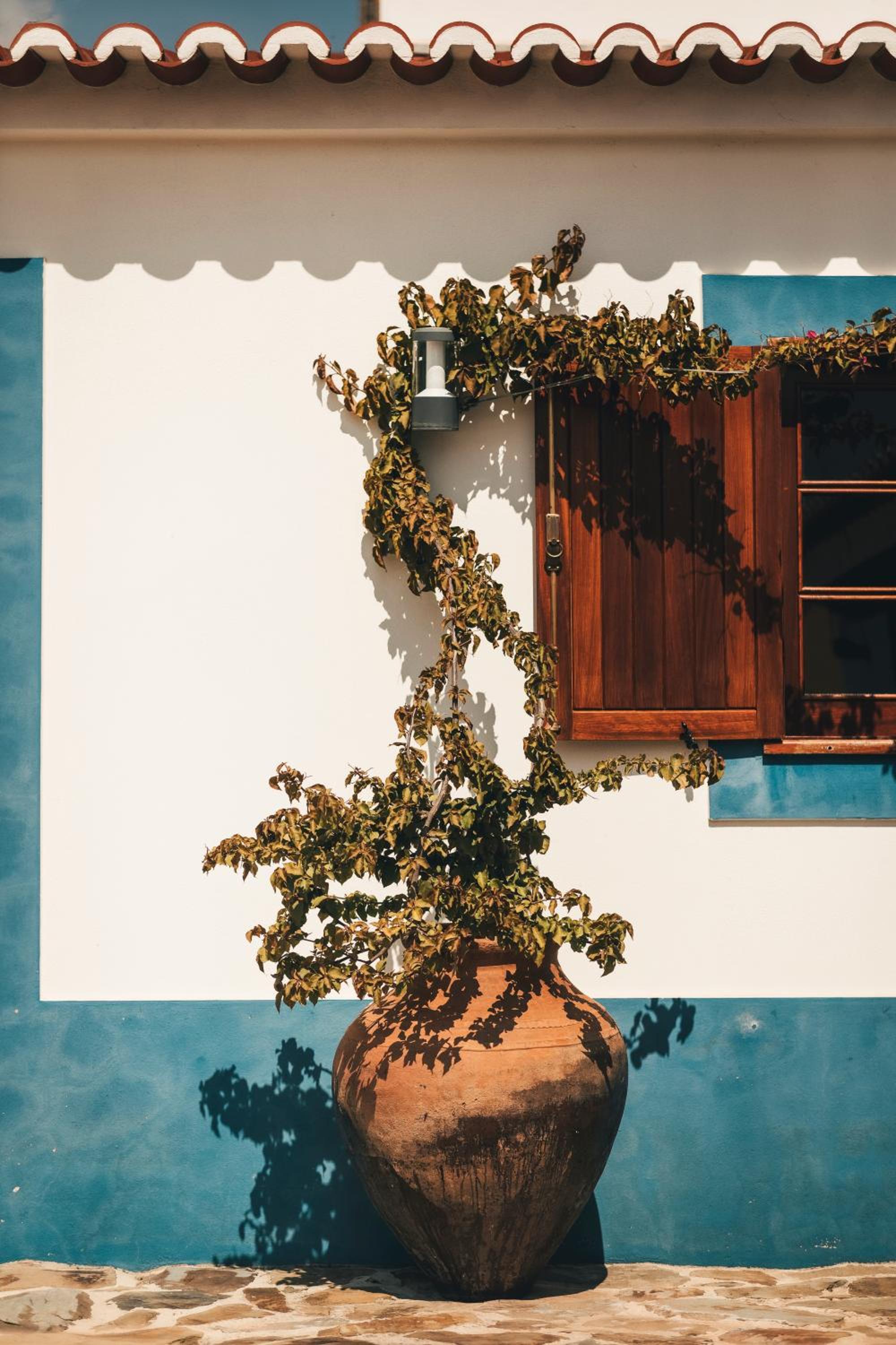 Casa da Bia
