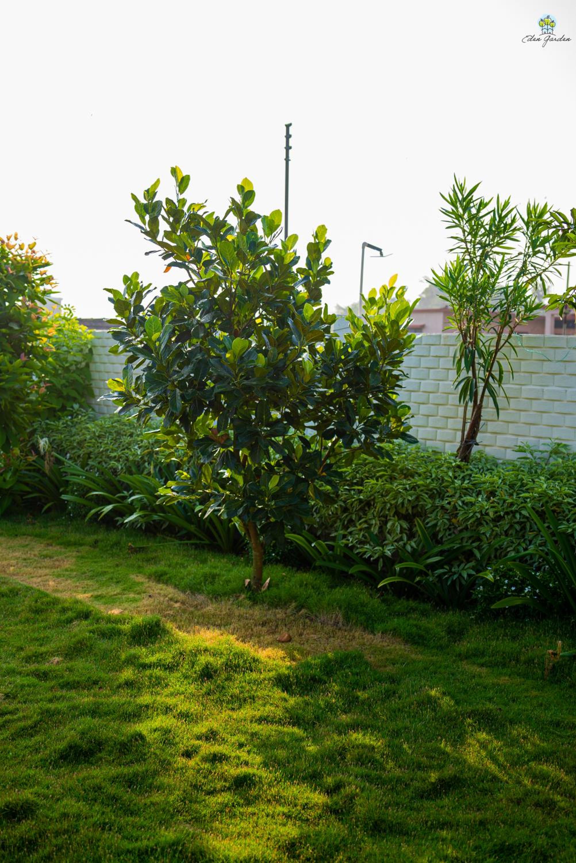 Photo 46
