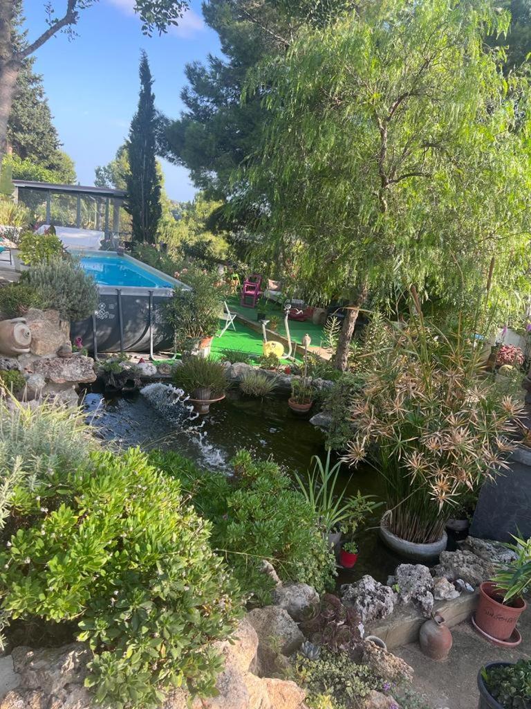 Photo 18