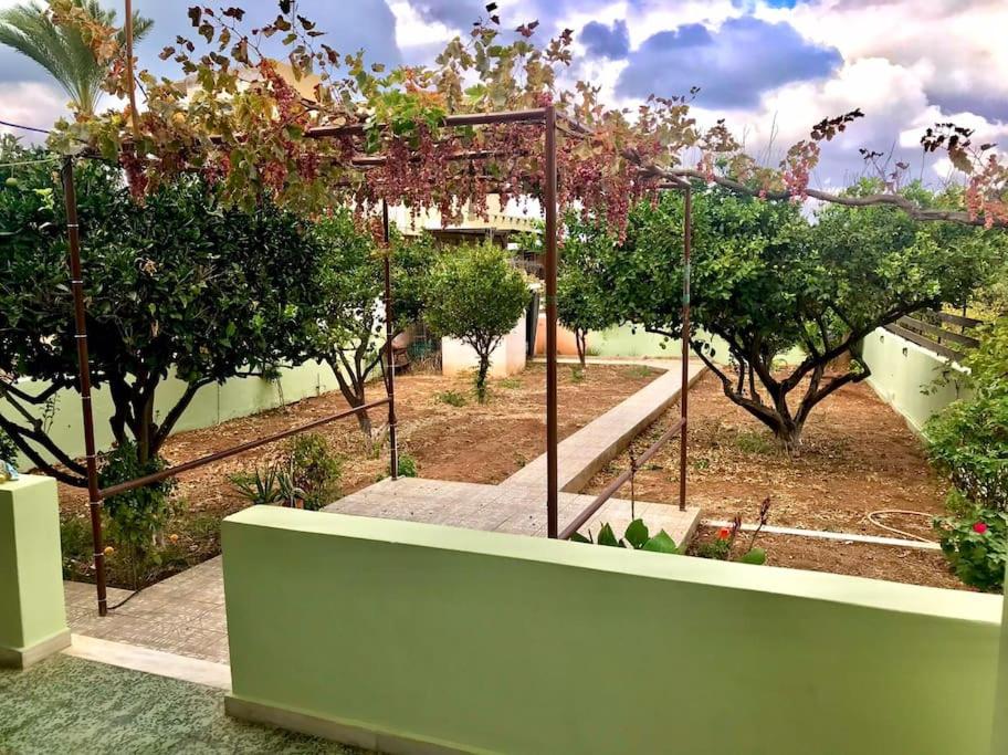 The Chill Casa photo 4