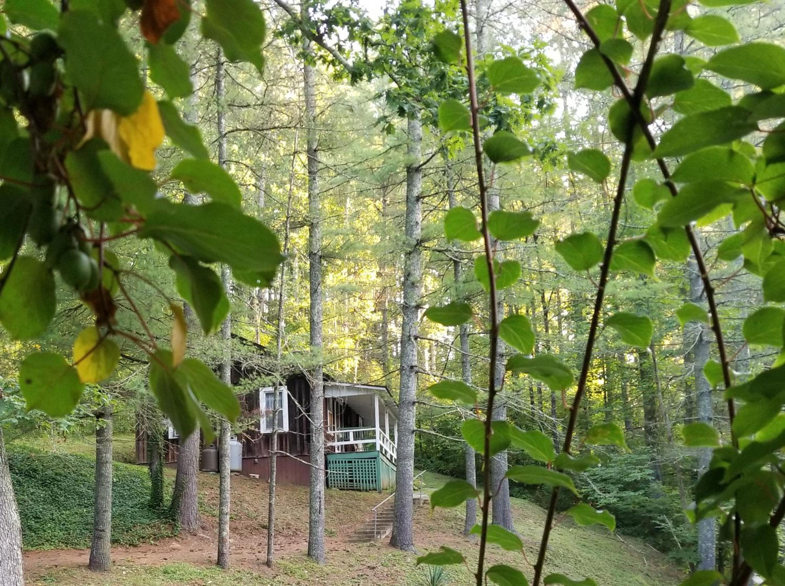 The Cabins at Healing Springs