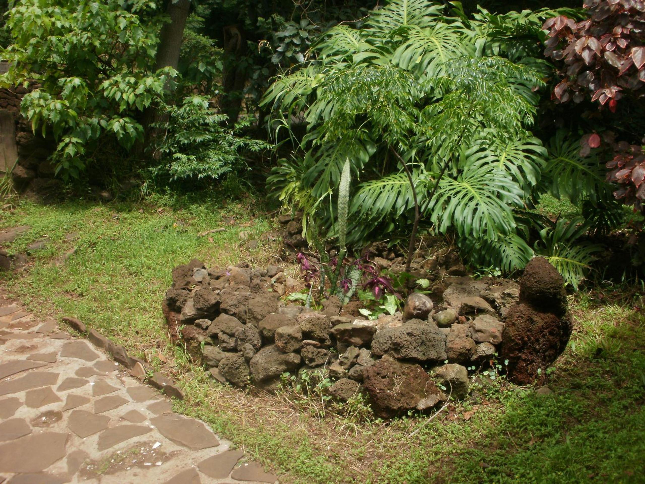 Cabañas Moenga