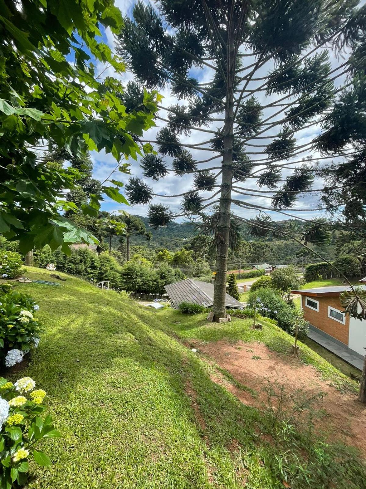 Chalé Alecrin, lançamento em conforto e estilo!