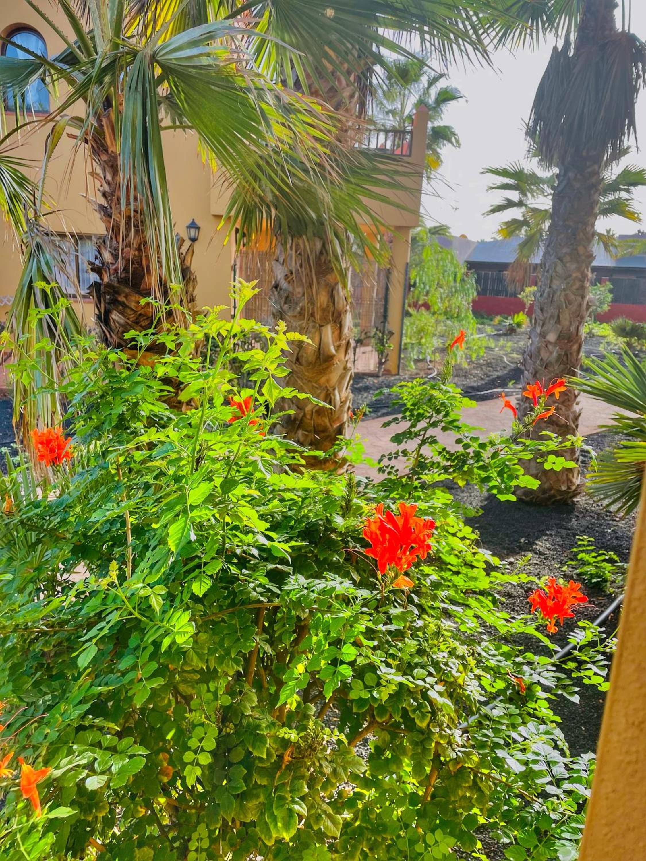 Paradise House