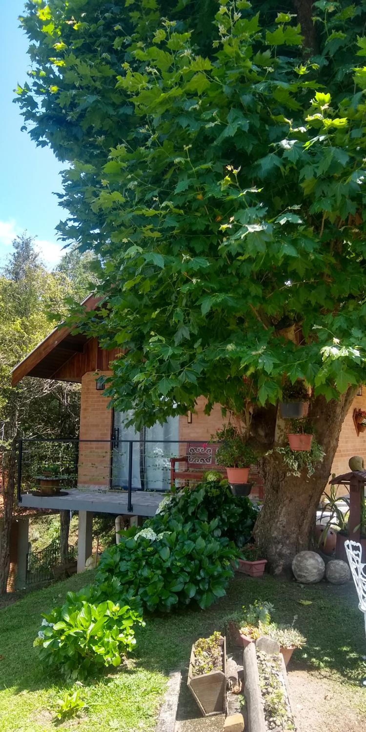 Chalé Alecrin, lançamento em conforto e estilo!