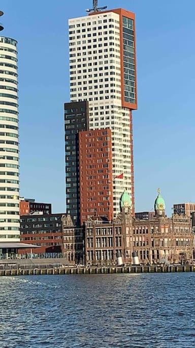STUDIO ROTTERDAM Cntr