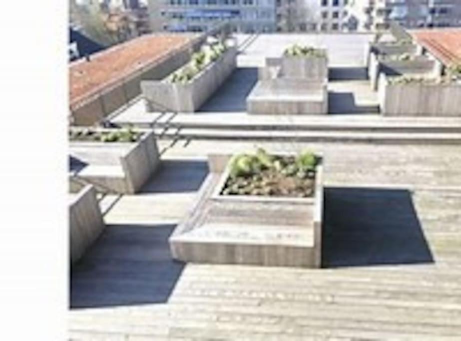 STUDIO ROTTERDAM Cntr