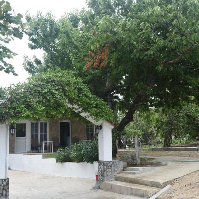 Villa Leonidas KOUTSOUPIA