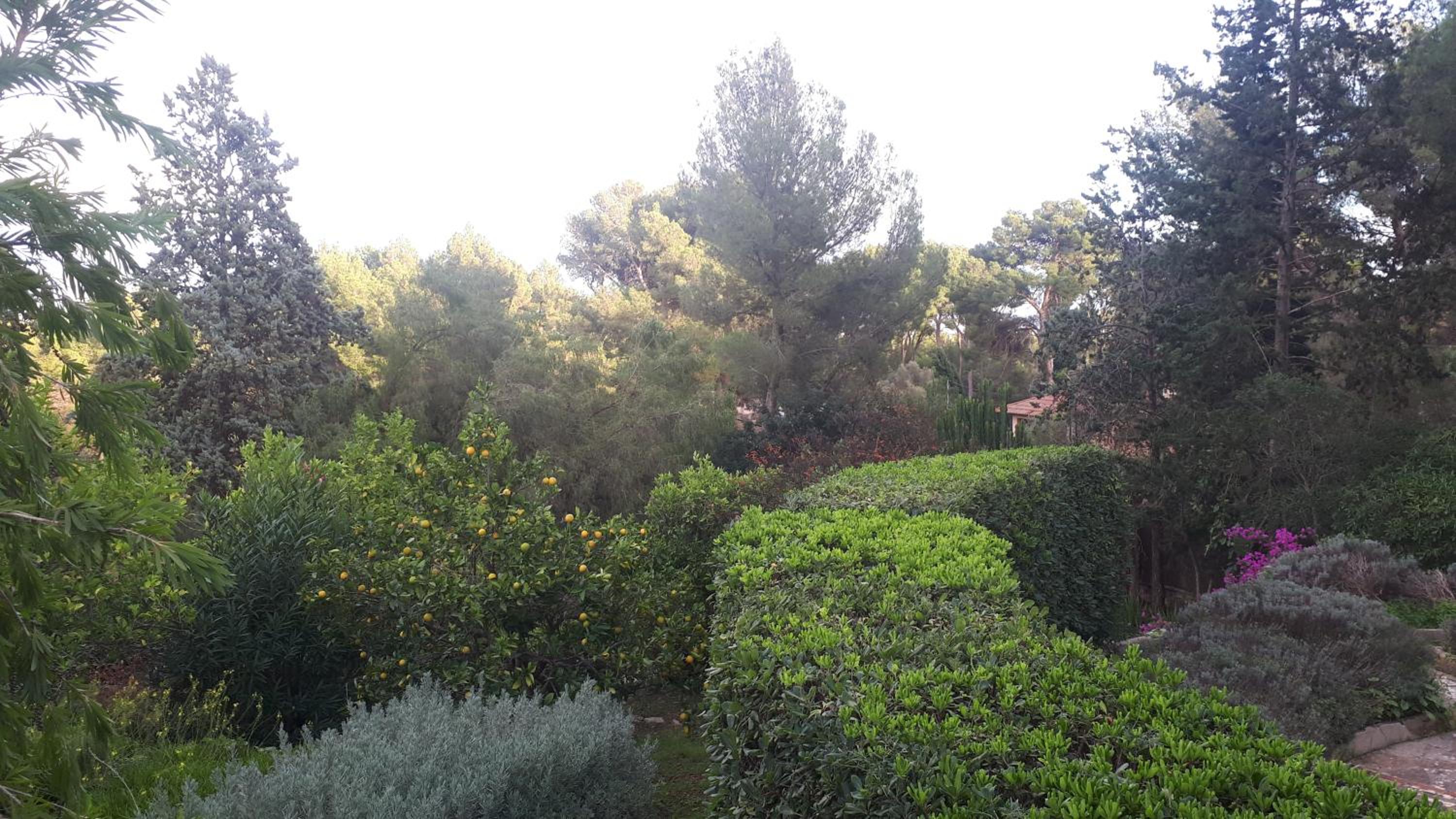 Photo 28