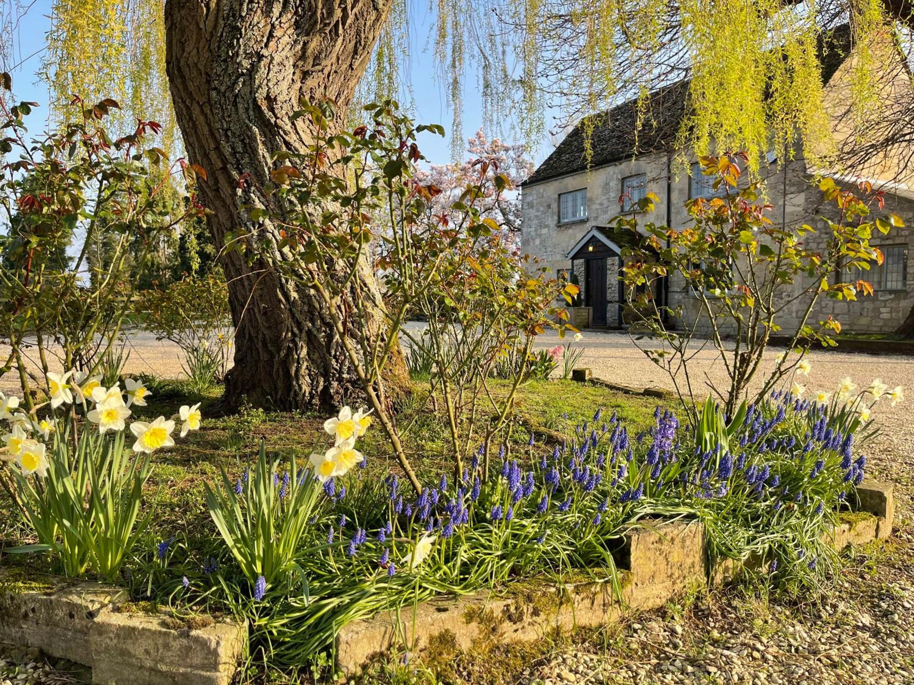 Hill Farm