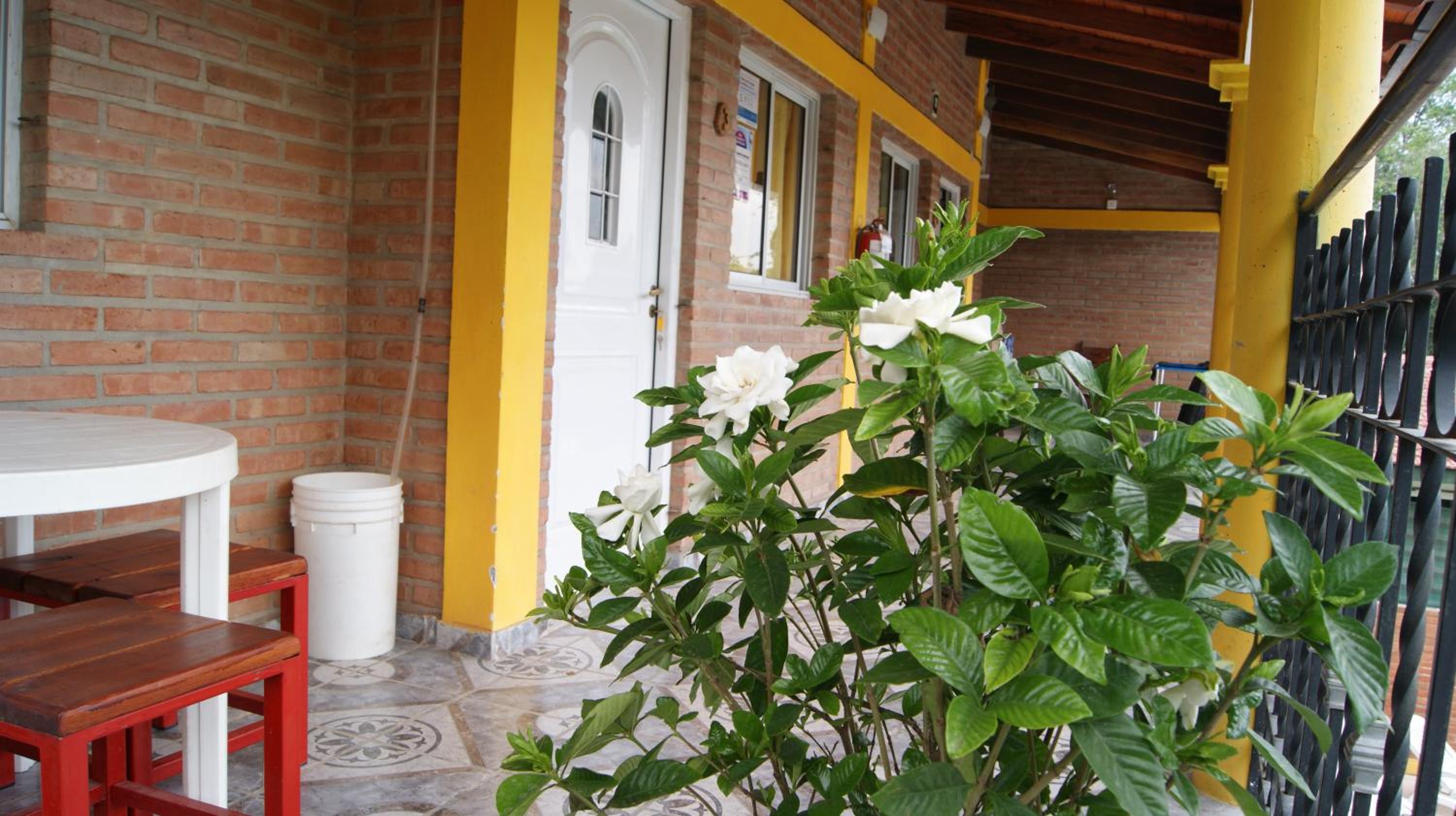 LOS BULGAROS