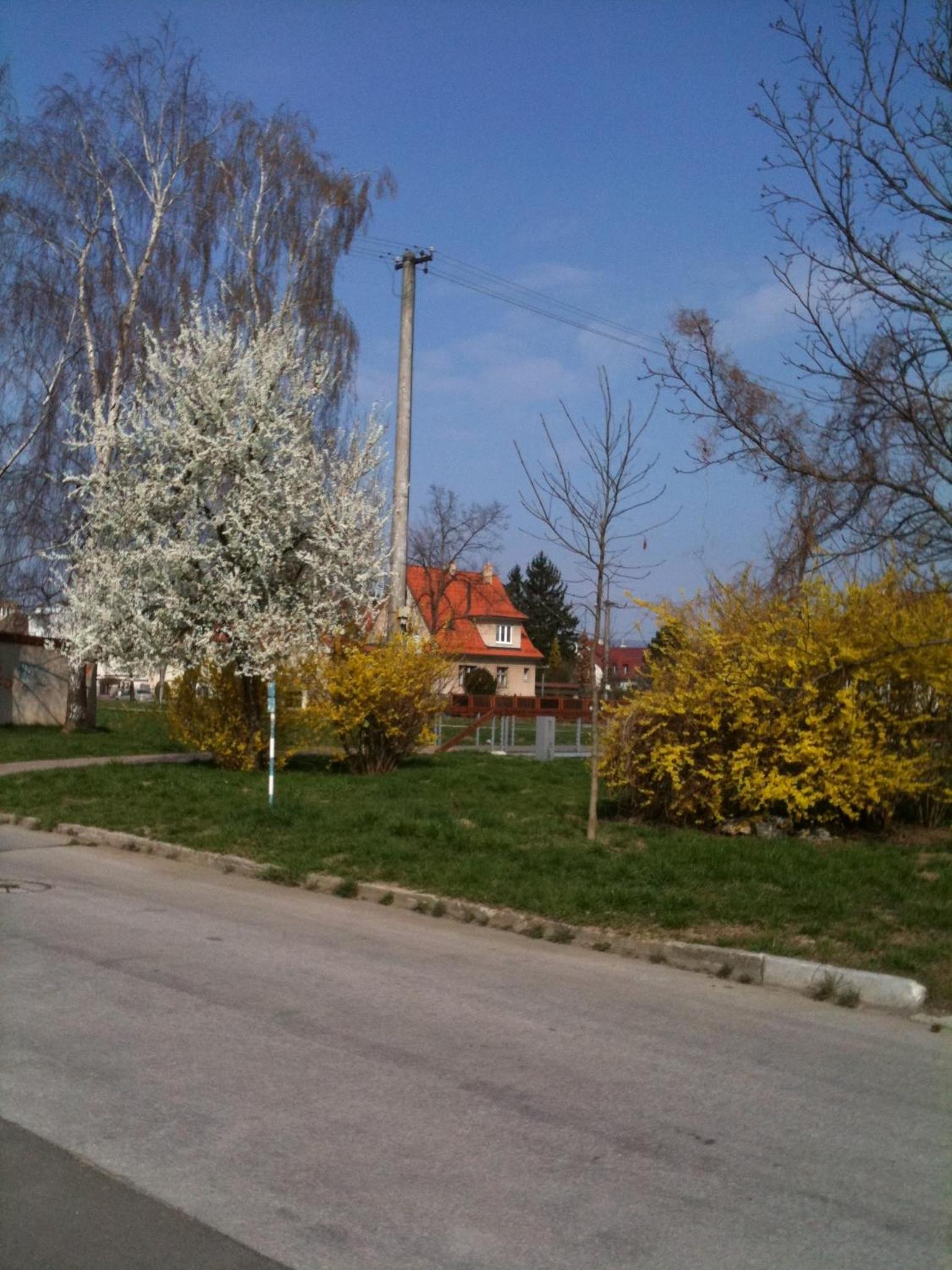 Photo 12