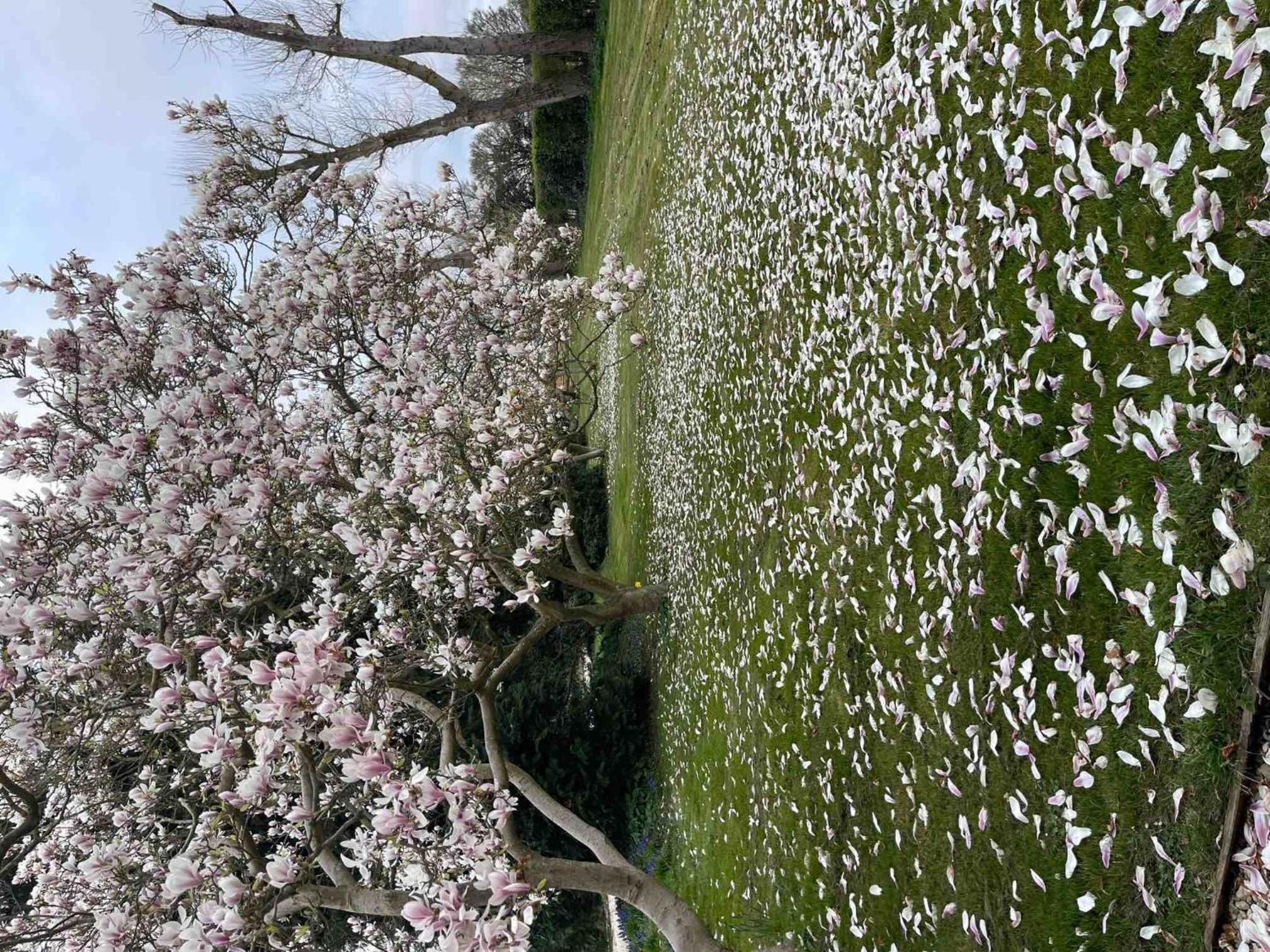 Hill Farm