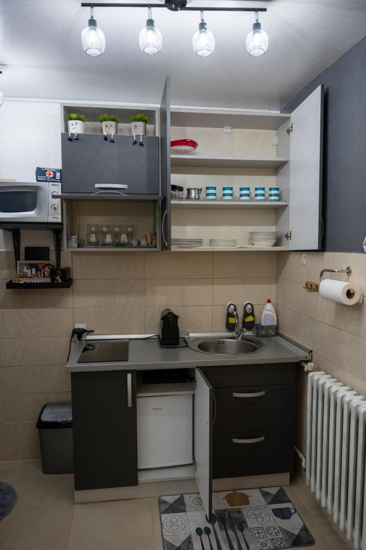 APARTMAN POZORISTE Penthaus