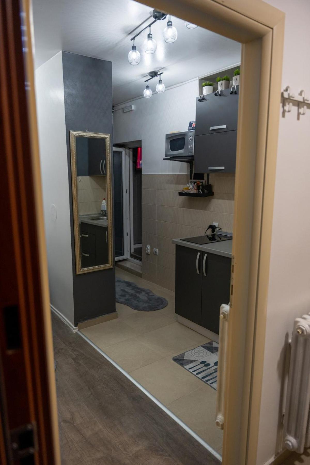 APARTMAN POZORISTE Penthaus