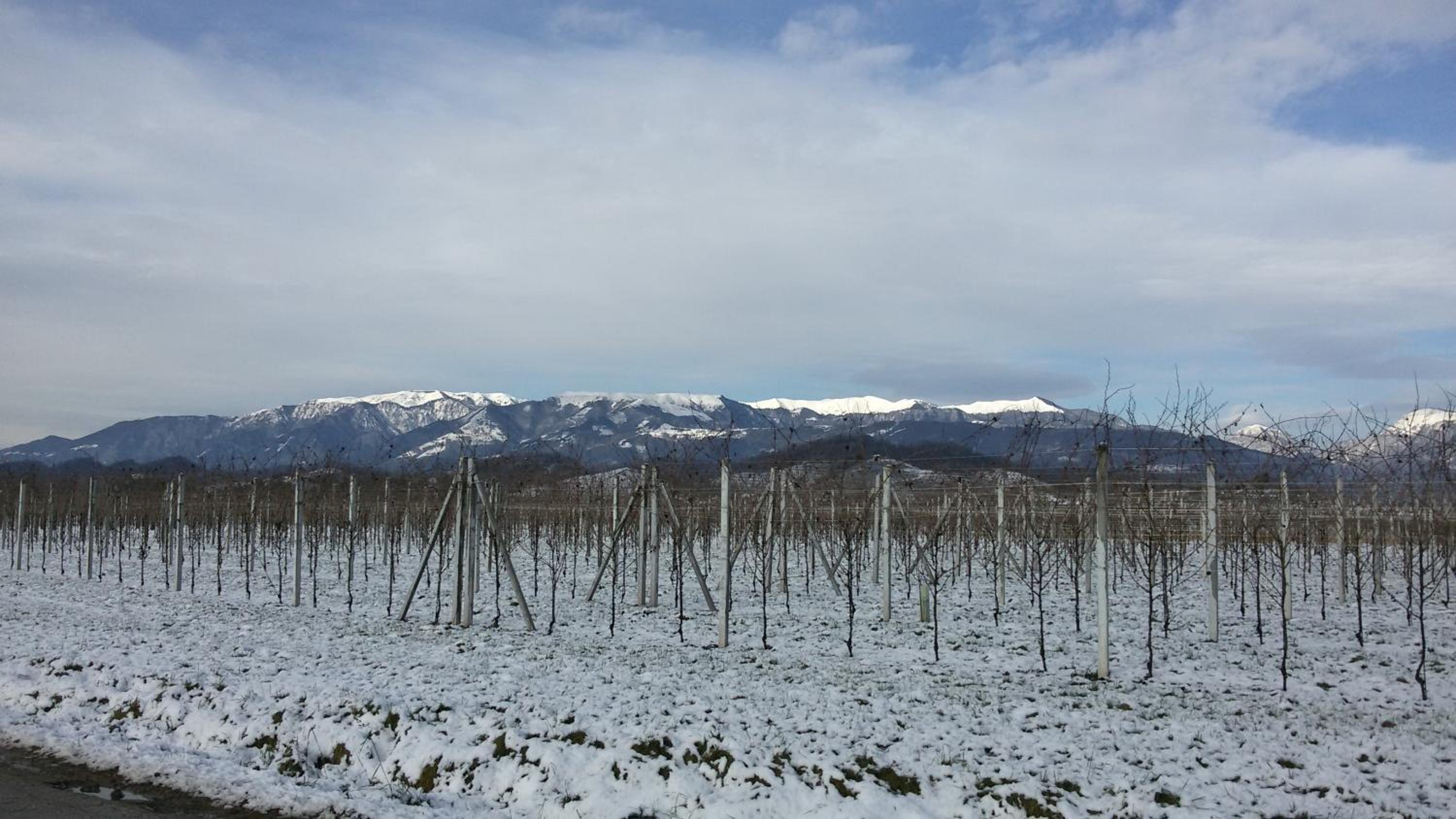 B&B Terre Di Bea