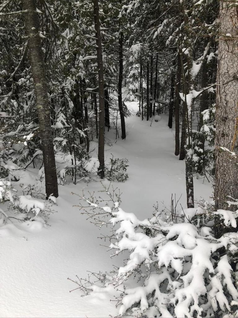 Le Refuge de mon père