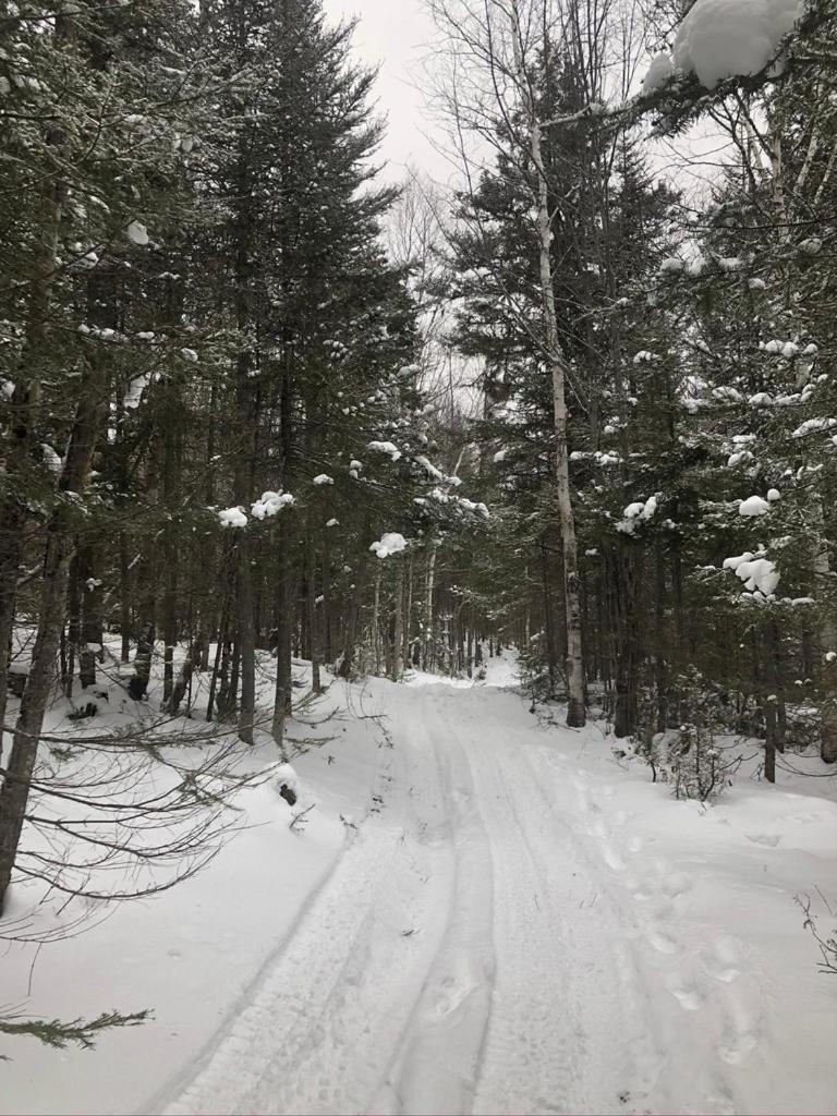 Le Refuge de mon père