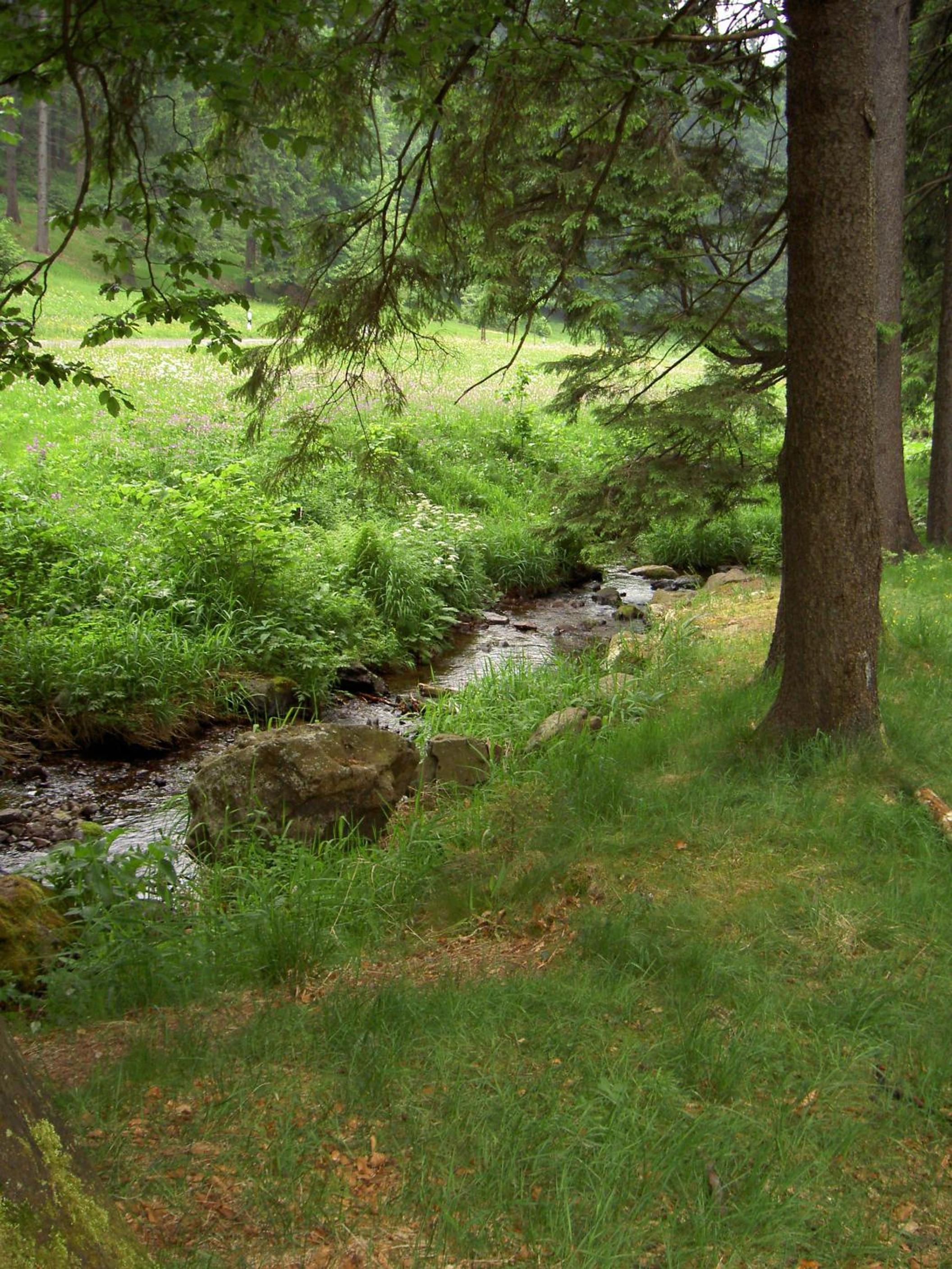 Gasthof 'Zum Reifberg'