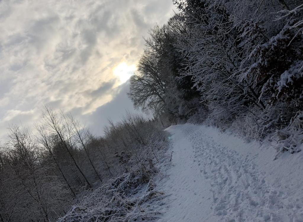 Natur pur im schönen Sauerland