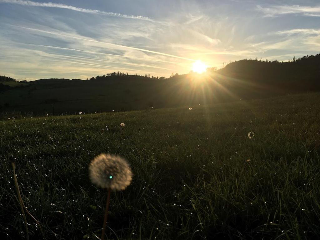 Natur pur im schönen Sauerland