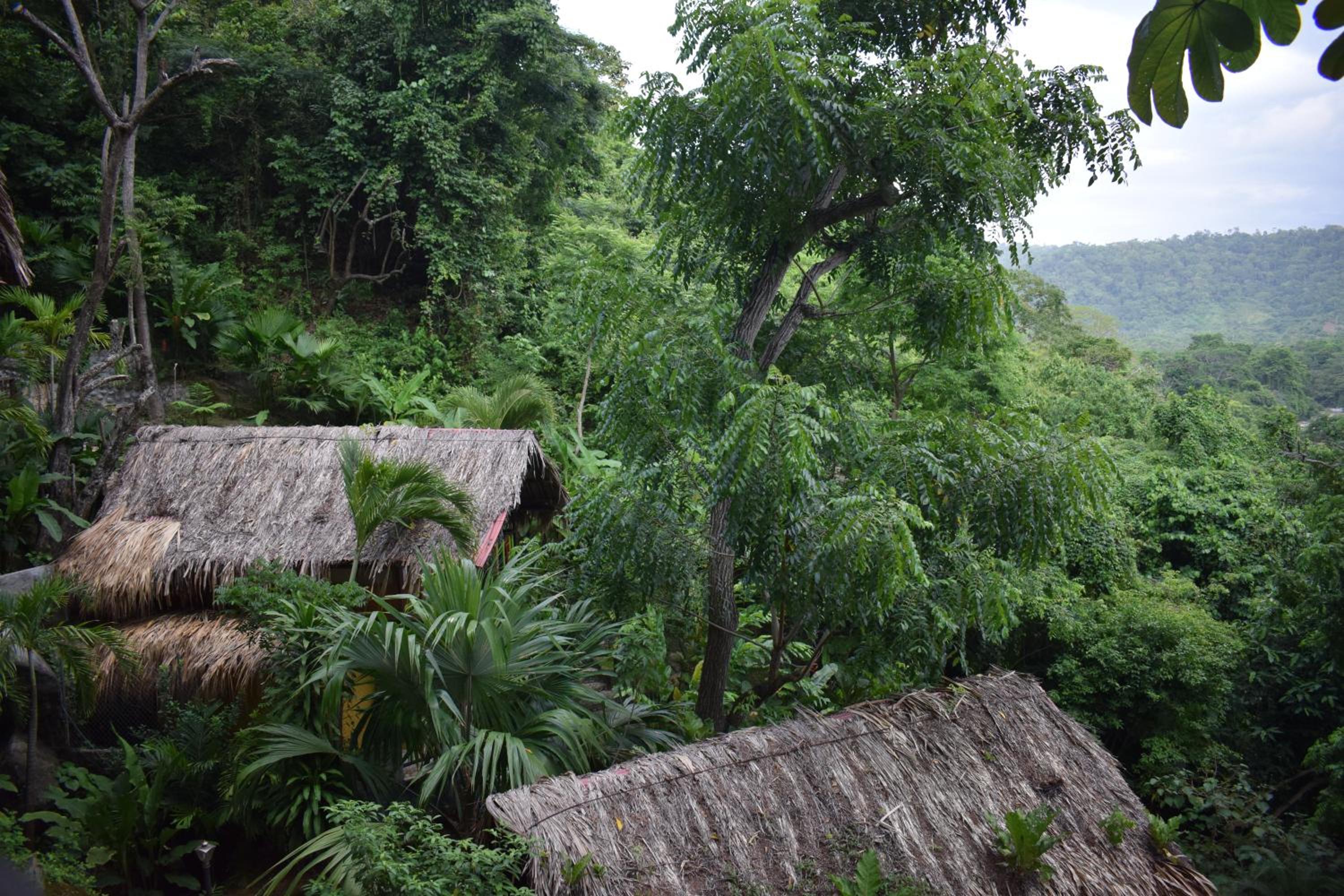 EcoHostal Rio Piedra