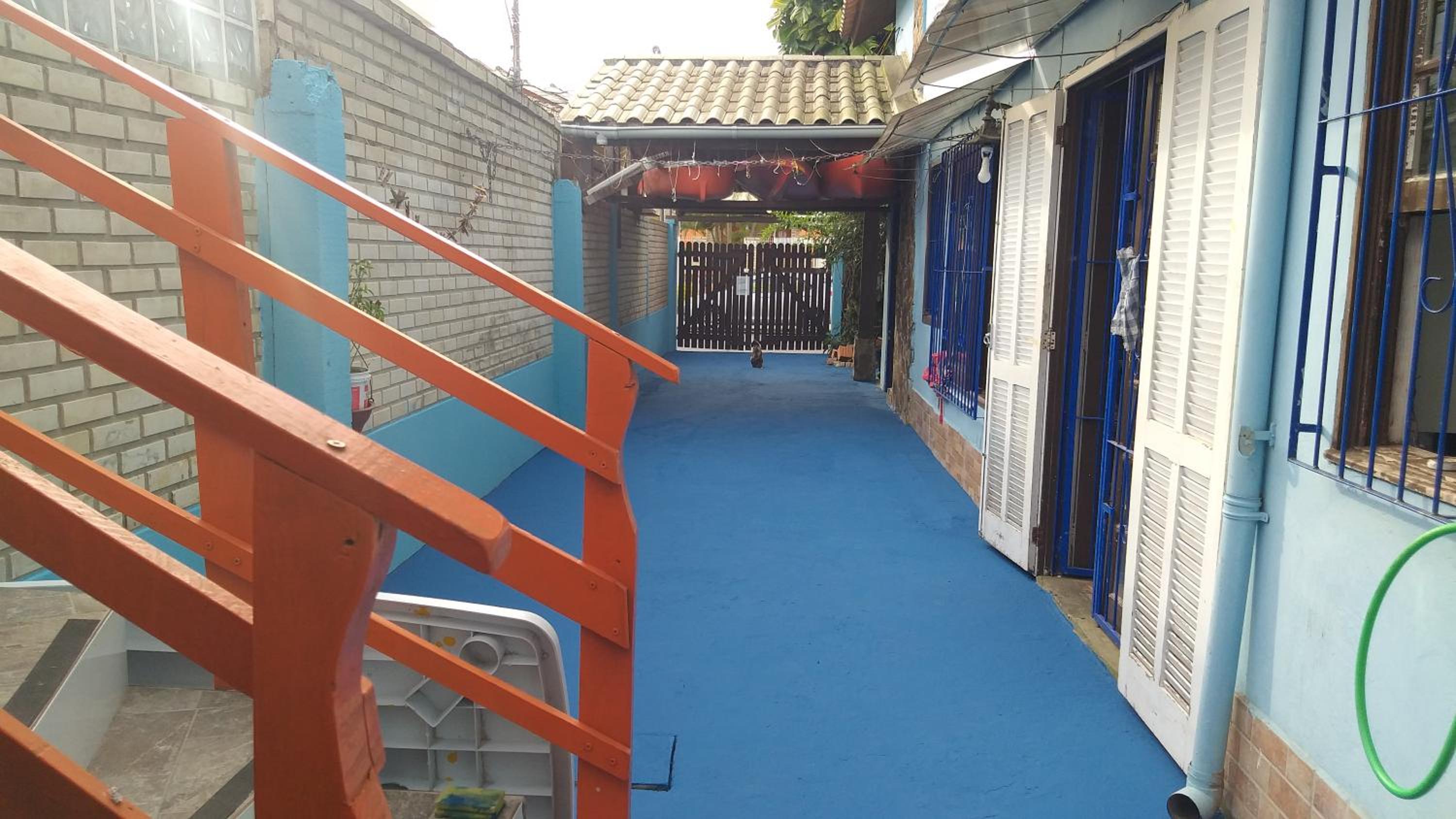 Tartaruga Azul