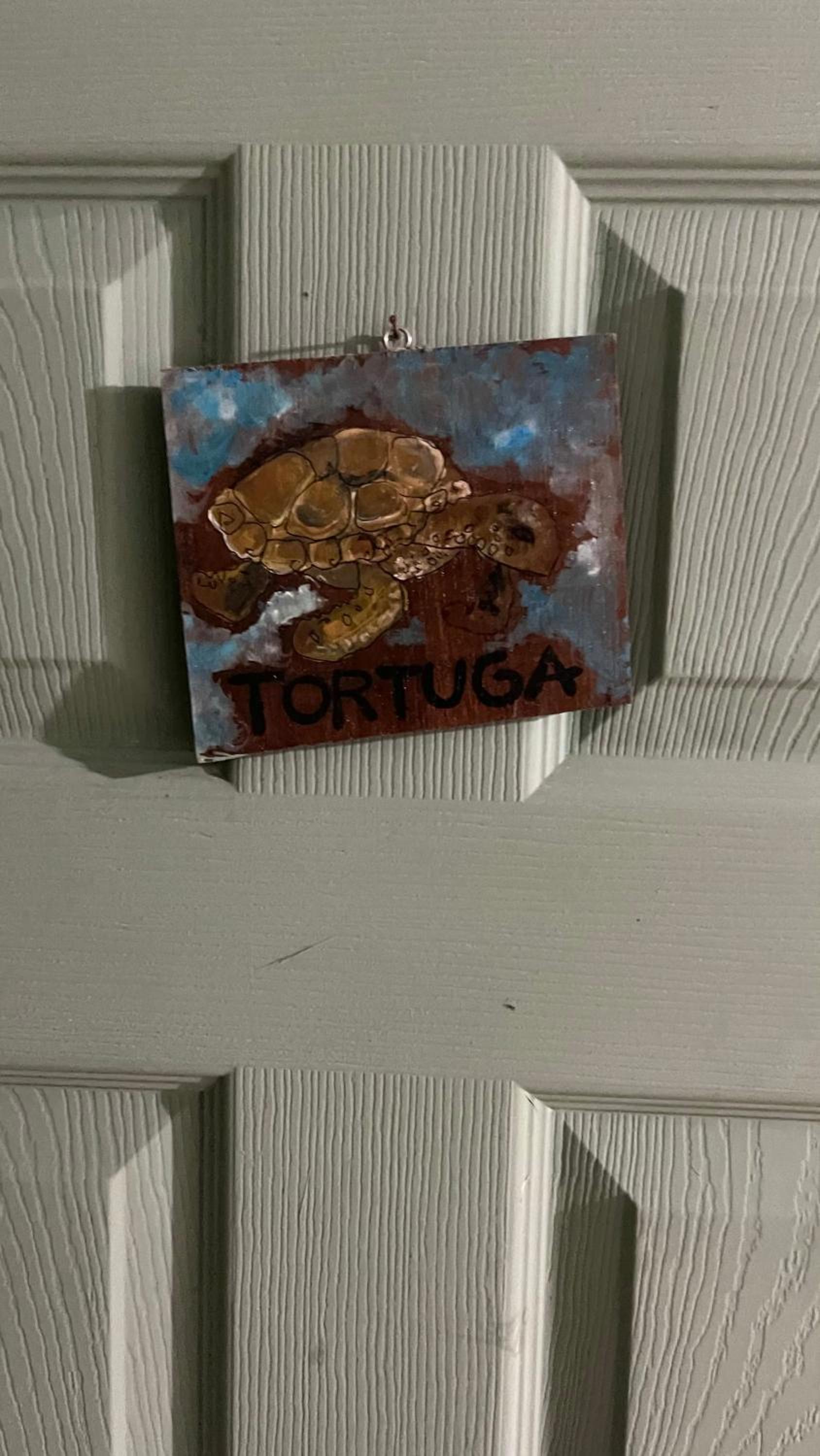 Orgánico Punta Riel
