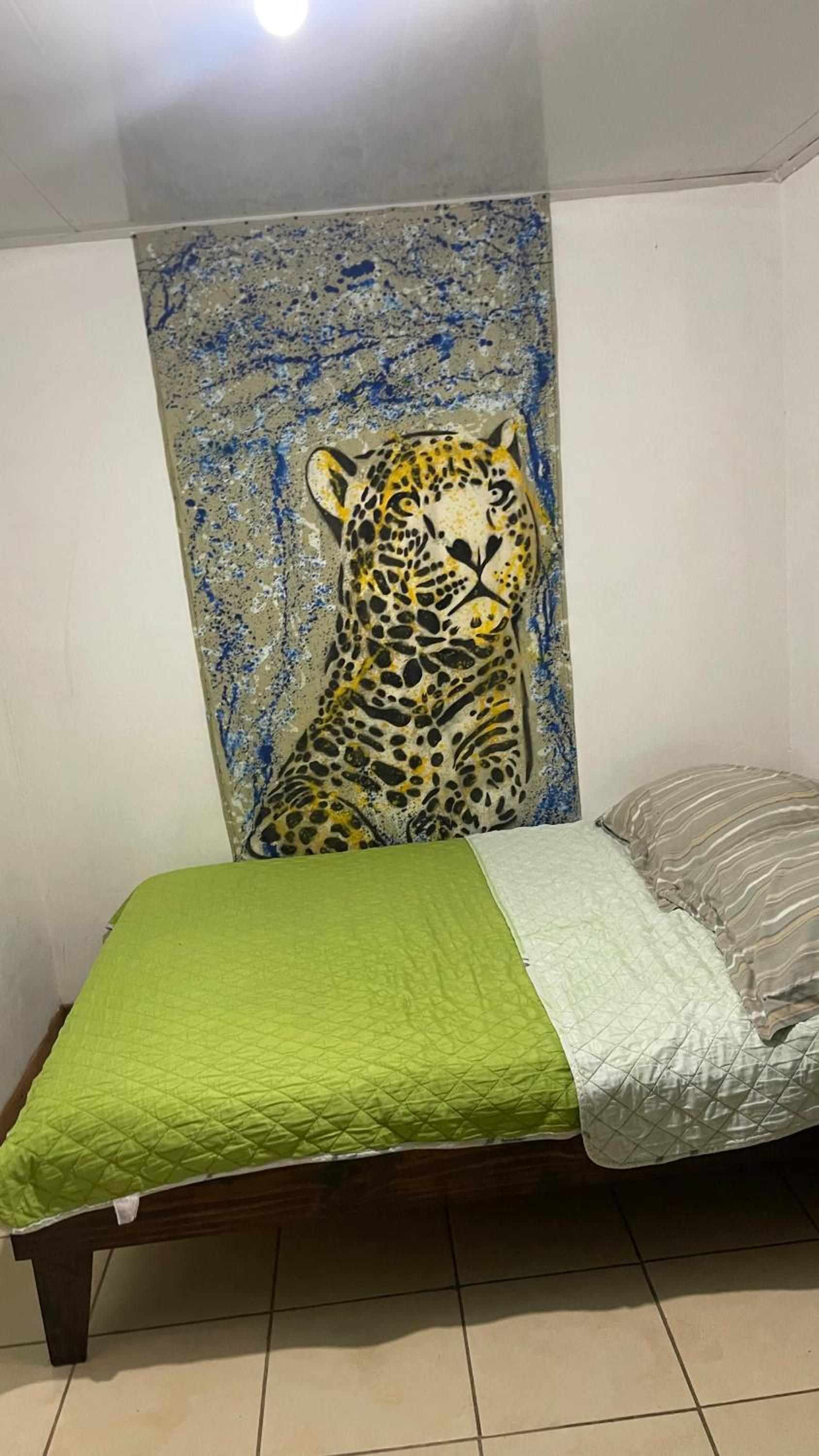 Orgánico Punta Riel