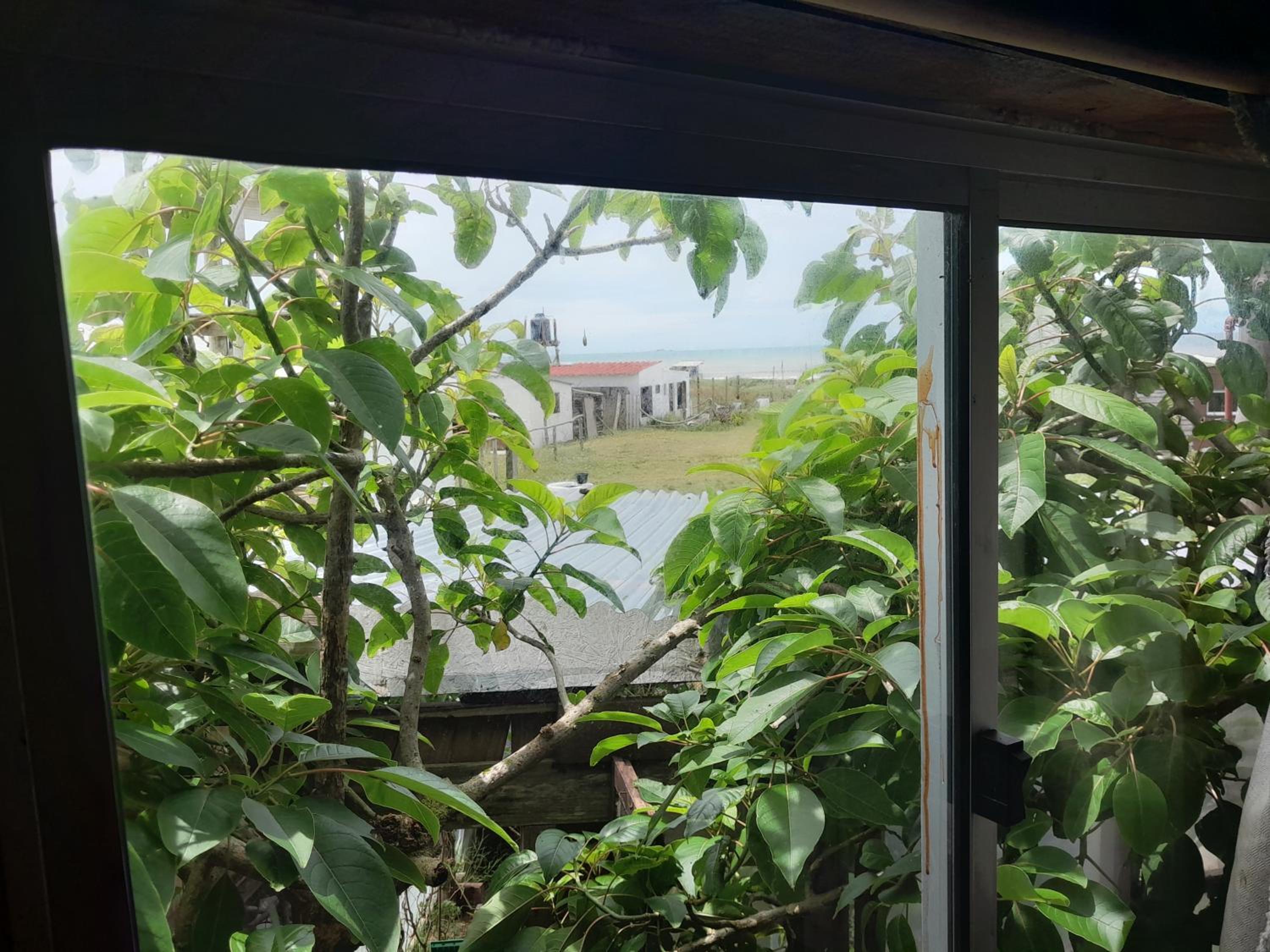 Bunker Hostel view 2