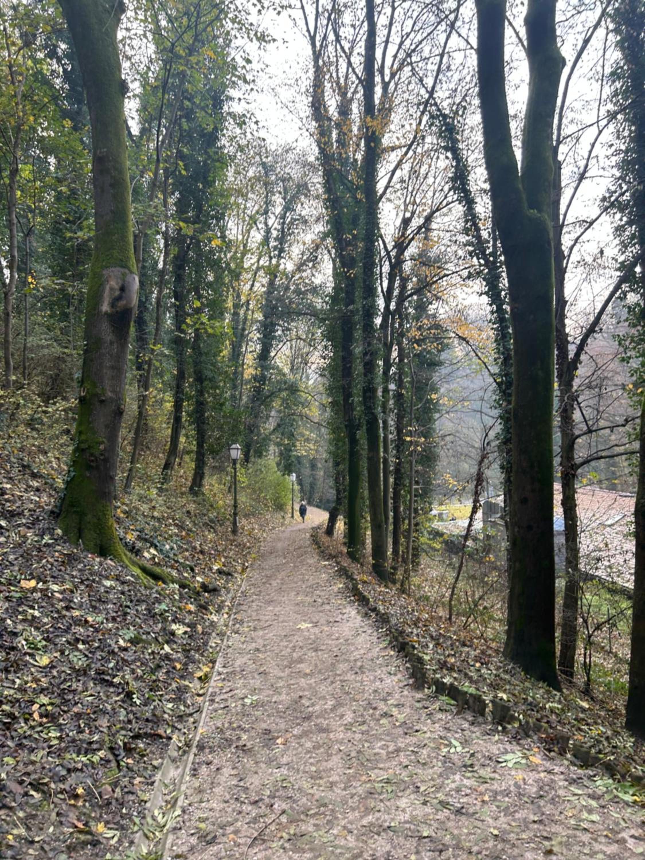 Historic Center-Lovely Nature