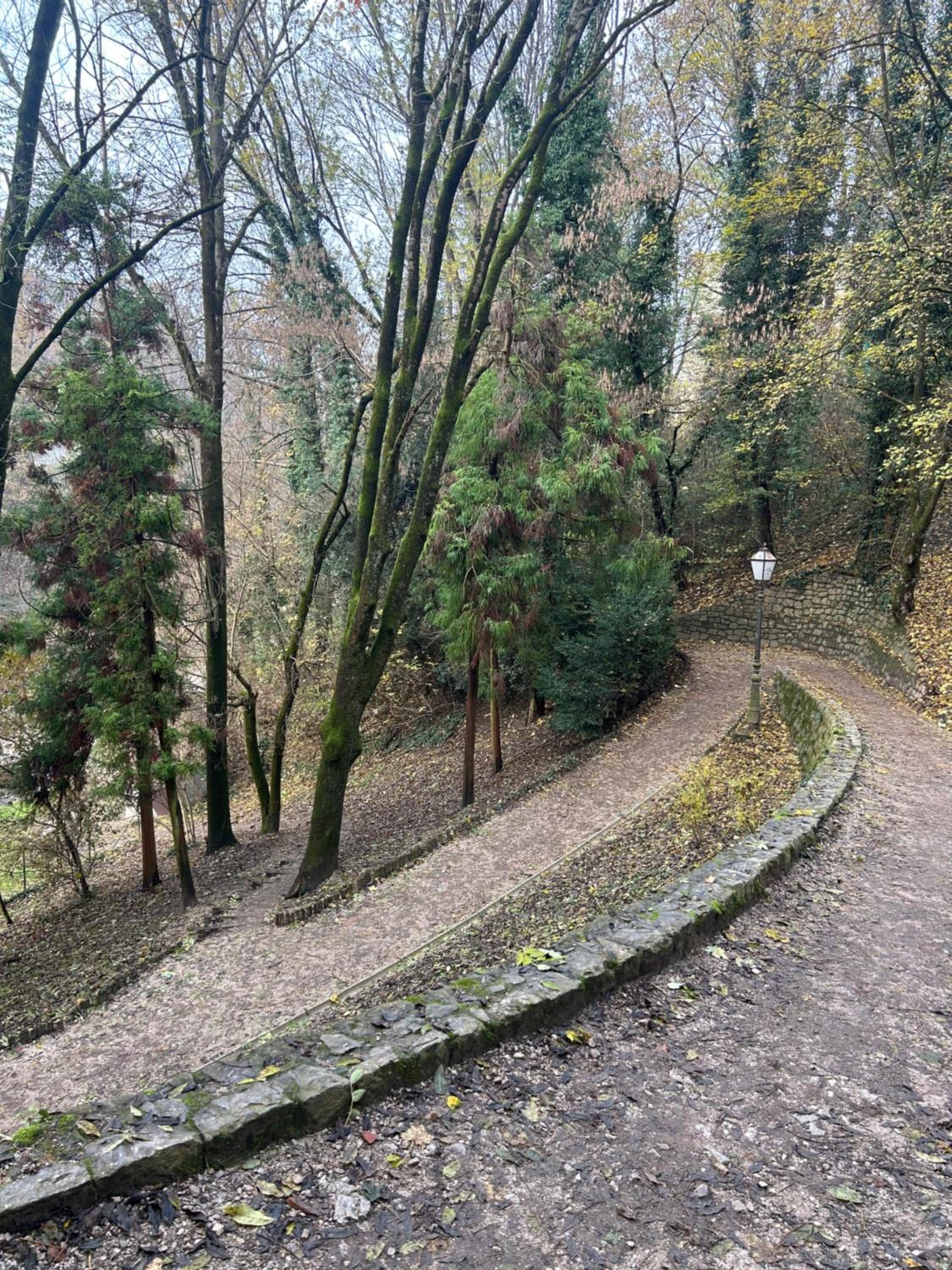 Historic Center-Lovely Nature