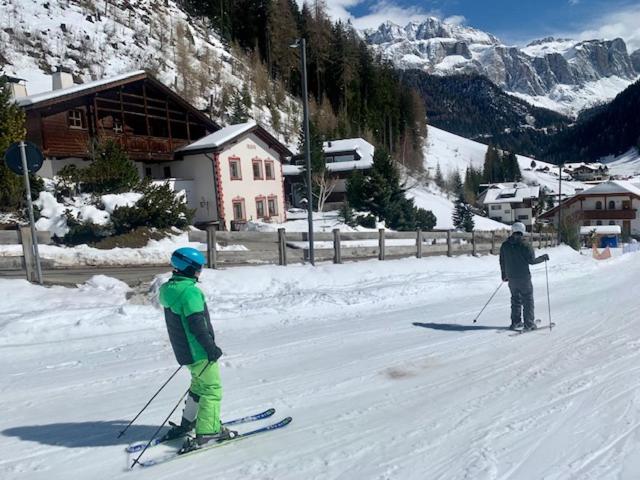 Chalet Aldian Dolomites view 2